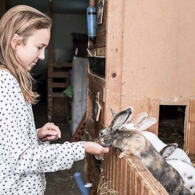 Hunting accommodation