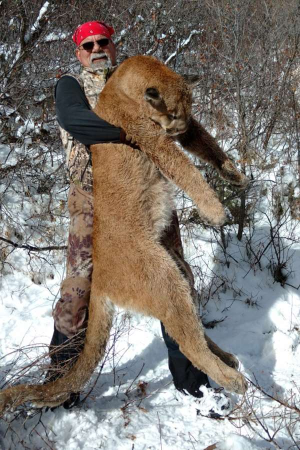 Hunting accommodation