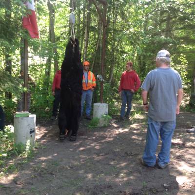 Hunting accommodation