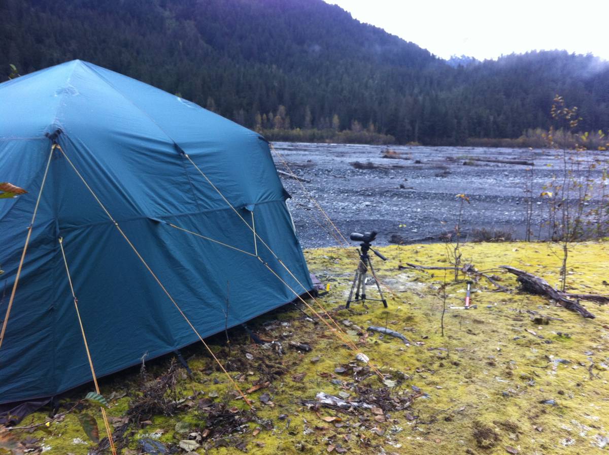 Hunting accommodation