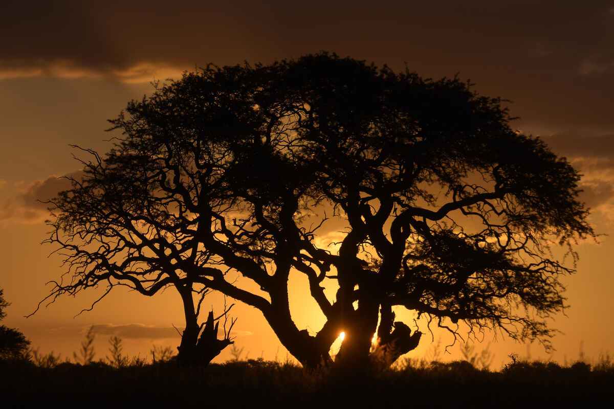 Hunting accommodation