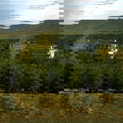 Hunting accommodation