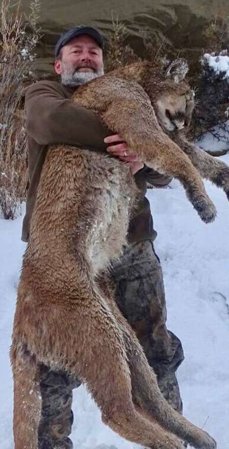 Hunting accommodation