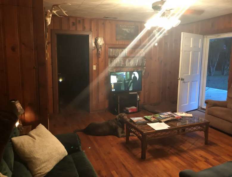 Hunting accommodation