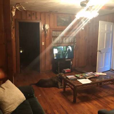 Hunting accommodation