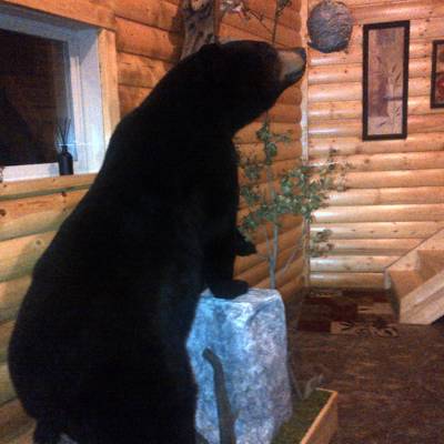 Hunting accommodation