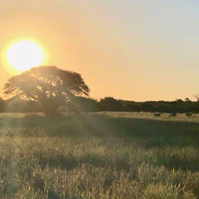 Hunting accommodation